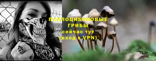 синтетический гашиш Дмитриев