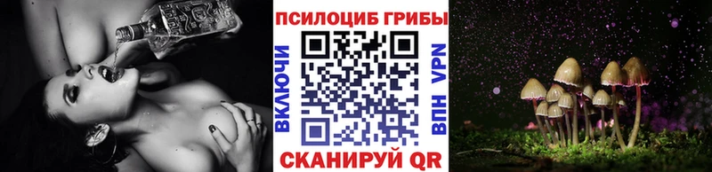 Купить  Уфа  Галлюциногенные грибы Psilocybe 